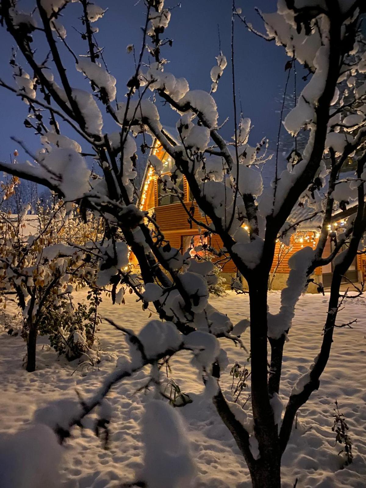 Moonlake Chalet Gainesti Exterior photo