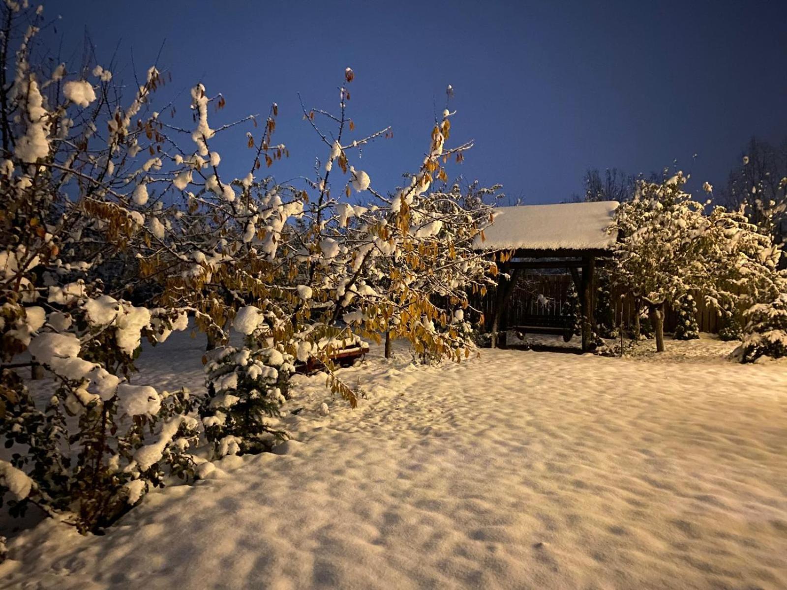 Moonlake Chalet Gainesti Exterior photo